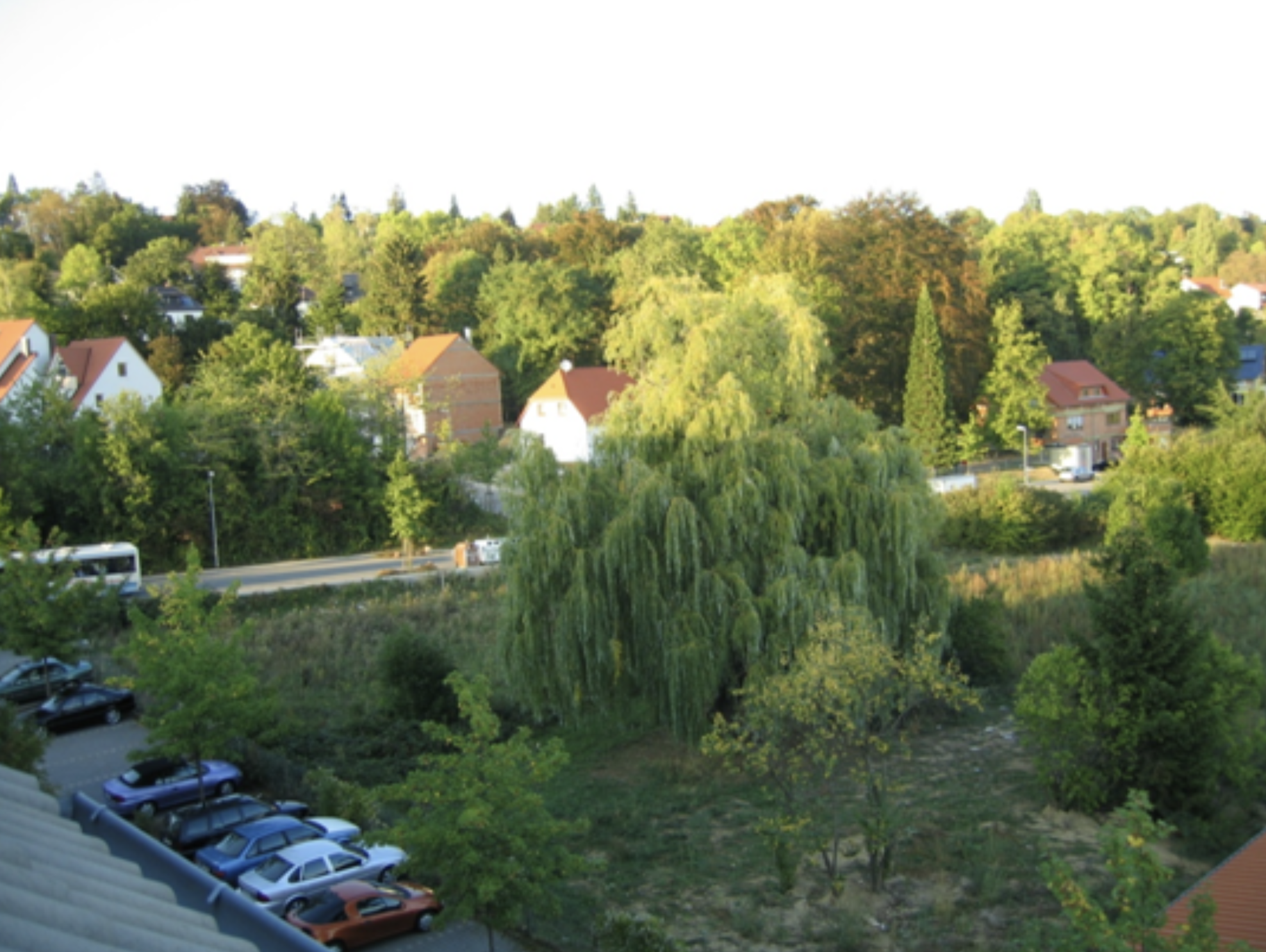Hans Knapperts Busch Straße Maihälden 2005 mit grünen Baulücken - weitere Ansicht der unbebauten Bereiche